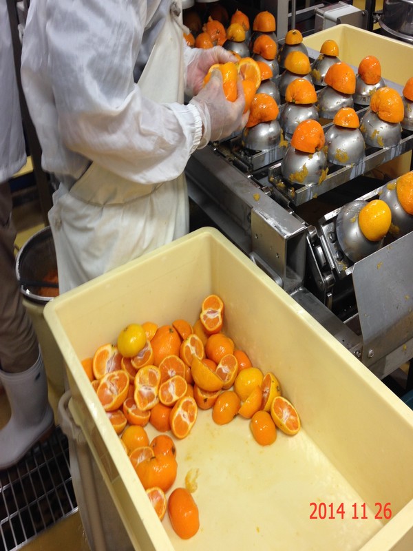 1705285542788322.jpg f903b8cbcac5fd6d9859c9232f09c524_3-b.jpg